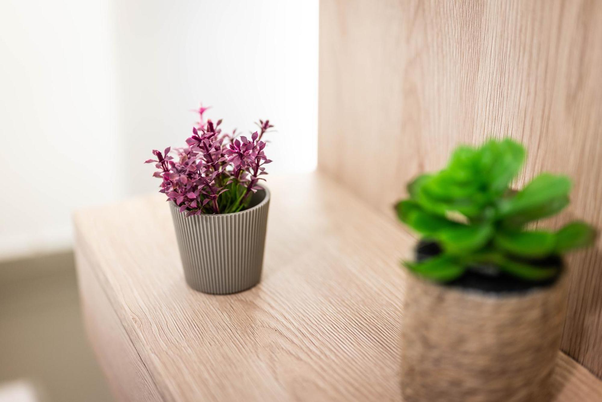 Studio Apartment Cudo Nevidjeno Karuc Экстерьер фото